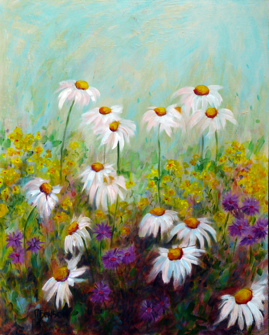 Daisy Meadow