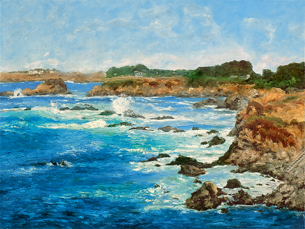 Mendocino Coast