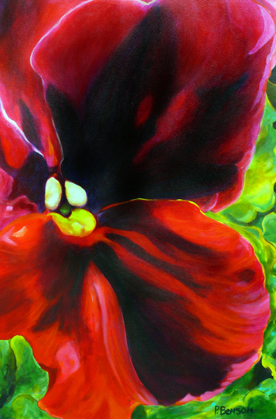 Scarlet Pansy